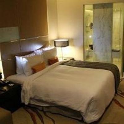 фото отеля Radisson Blu Hotel Amritsar