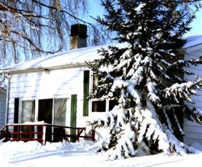 фото отеля Elmhirst's Resort