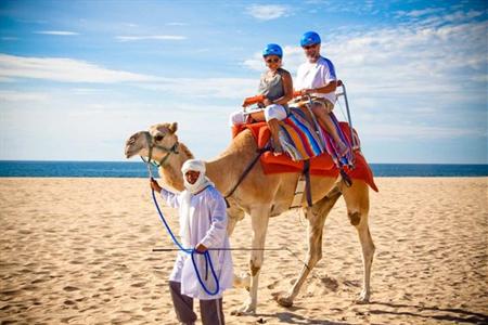 фото отеля Hilton Los Cabos Beach Resort San Jose del Cabo