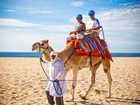 фото отеля Hilton Los Cabos Beach Resort San Jose del Cabo