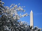 фото отеля Embassy Suites Chevy Chase Pavilion Washington D.C.