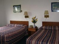 7 Star Motel