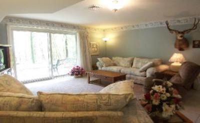 фото отеля Tree Top Bed and Breakfast