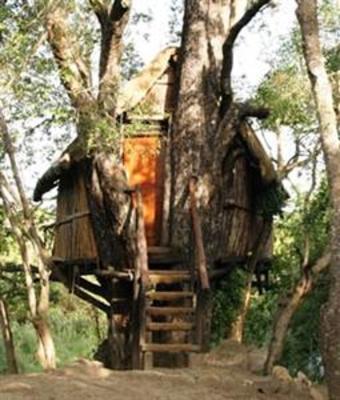 фото отеля Marc's Treehouse Lodge