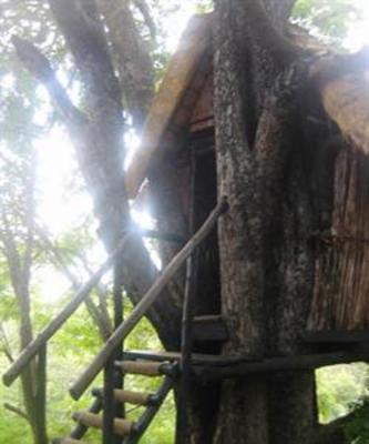 фото отеля Marc's Treehouse Lodge