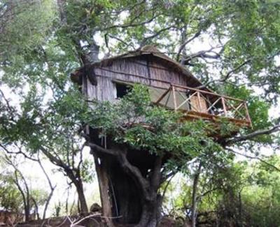 фото отеля Marc's Treehouse Lodge