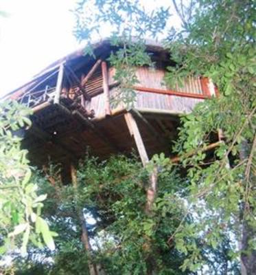фото отеля Marc's Treehouse Lodge