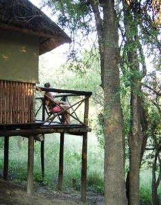 фото отеля Marc's Treehouse Lodge