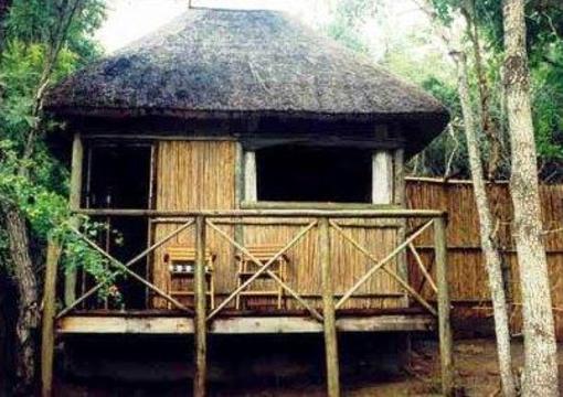 фото отеля Marc's Treehouse Lodge