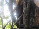 фото отеля Marc's Treehouse Lodge