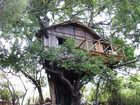 фото отеля Marc's Treehouse Lodge