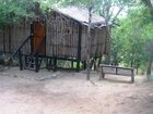 фото отеля Marc's Treehouse Lodge