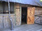фото отеля Marc's Treehouse Lodge