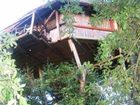 фото отеля Marc's Treehouse Lodge
