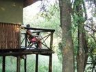 фото отеля Marc's Treehouse Lodge