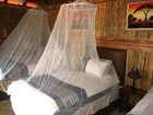 фото отеля Marc's Treehouse Lodge