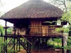 фото отеля Marc's Treehouse Lodge