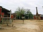 фото отеля Marc's Treehouse Lodge