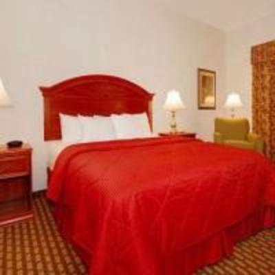 фото отеля Comfort Inn & Suites Near Medical Center
