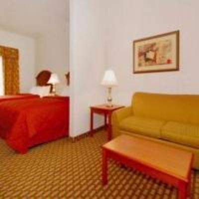 фото отеля Comfort Inn & Suites Near Medical Center