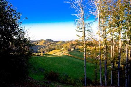 фото отеля Ferienapartments Wurzenberg Südsteiermark Glanz an der Wienstrasse