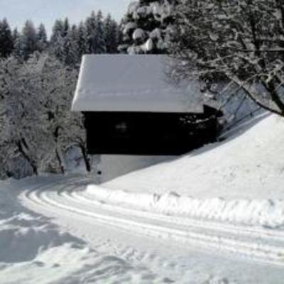 фото отеля Bauernhof Walchbauer