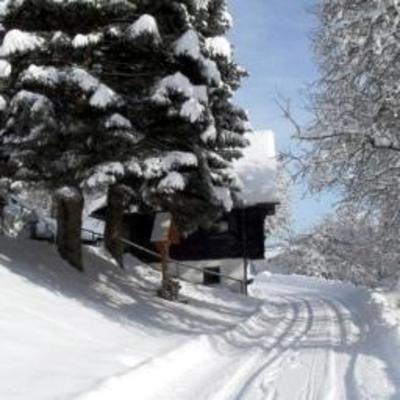 фото отеля Bauernhof Walchbauer