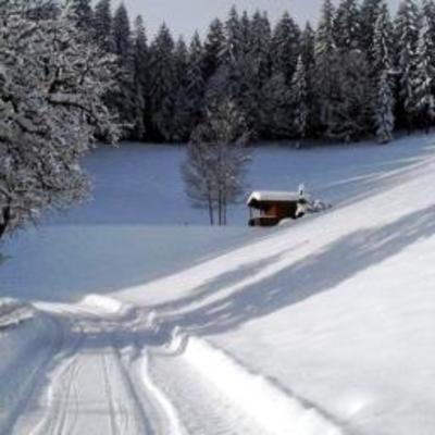 фото отеля Bauernhof Walchbauer