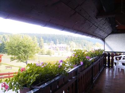 фото отеля Pension Wiesengrund