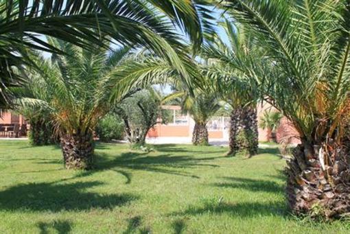 фото отеля Camping Clos du Thym