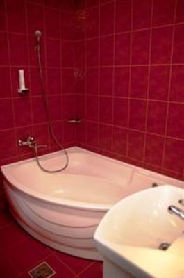 фото отеля Pension Full Targu Mures