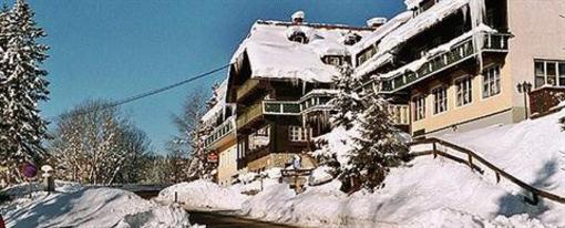 фото отеля Hotel Waldheimathof Krieglach