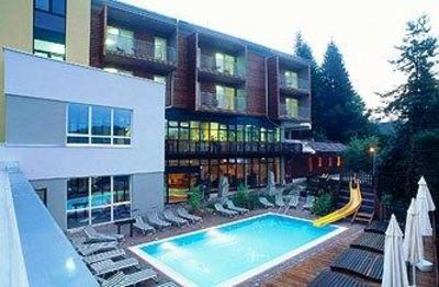 фото отеля Hotel Waldheimathof Krieglach