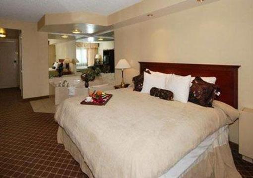 фото отеля Clarion Hotel Detroit Metro Airport
