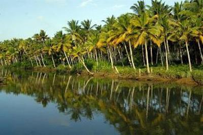 фото отеля Estuary Island Resort Trivandrum