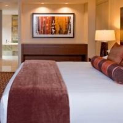 фото отеля Hyatt Regency O'Hare