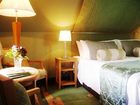 фото отеля Craigie Knowe Cottage and Vineyard