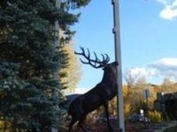 Aspenalt Lodge