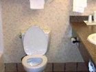 фото отеля Comfort Inn & Suites Fortuna