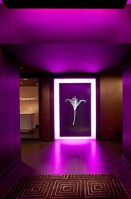 фото отеля theWit, a Doubletree Hotel