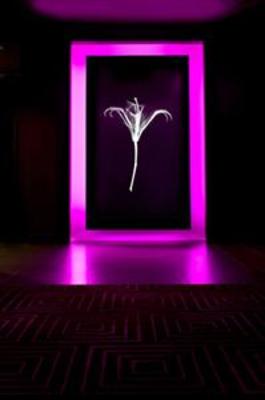 фото отеля theWit, a Doubletree Hotel