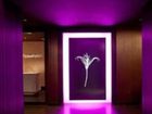 фото отеля theWit, a Doubletree Hotel
