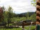 фото отеля Camping Cane in Fiore