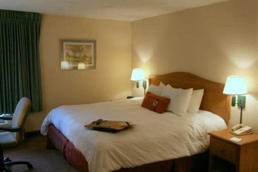 фото отеля Hampton Inn Knoxville Airport