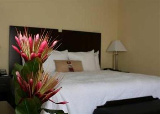 фото отеля Hampton Inn & Suites Orlando - John Young Pkwy S Park