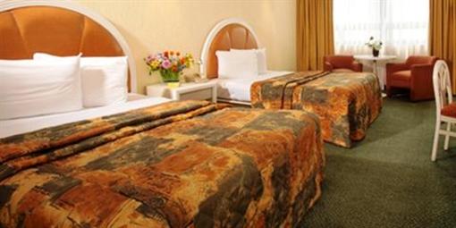 фото отеля Benidorm Hotel Mexico City