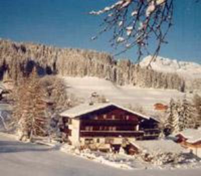 фото отеля Alpbach Apartments
