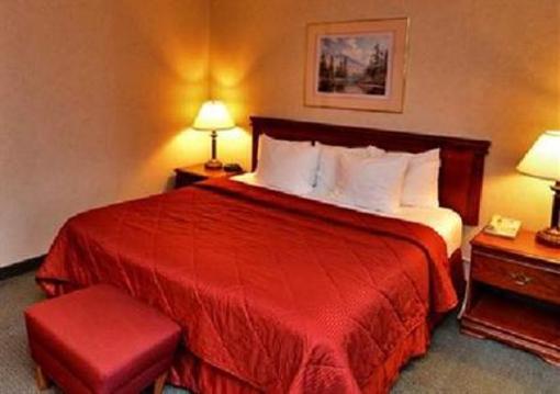 фото отеля Comfort Inn-Pocono Mountain