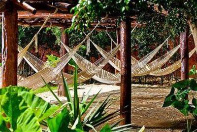 фото отеля Hacienda Misne