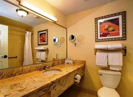 фото отеля Holiday Inn Express Tampa North - Telecom Park